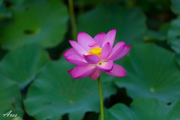 20140803-LX8A2374