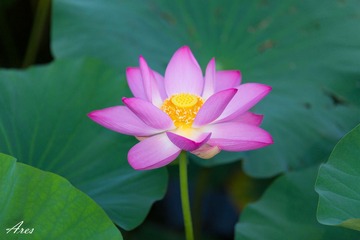 20140803-LX8A2379