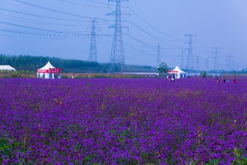 LX8A3119