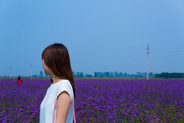 LX8A3126