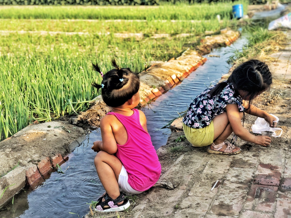 菜园玩耍的小女孩众生百态