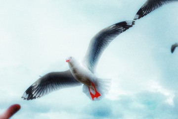 tmp_f4f7b5036ec050b24c9b15cb0a5328cea78ce03923b1016b