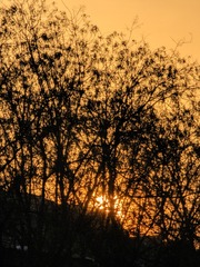 1000140165