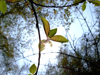 DSCF0163sp