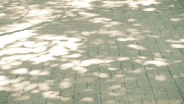 366642