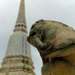 _IGP0317.jpg