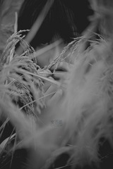 20141026-IMG_8961
