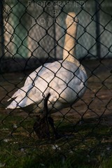 20140409-IMG_3683