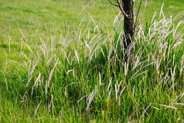 20140409-IMG_3658