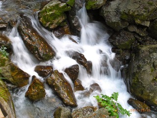 R0028124.JPG