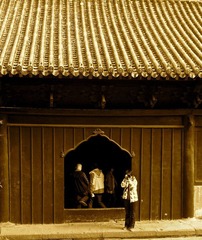 R0027726.JPG