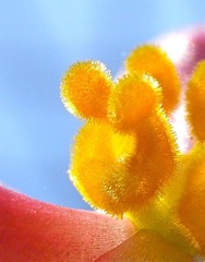R0026726