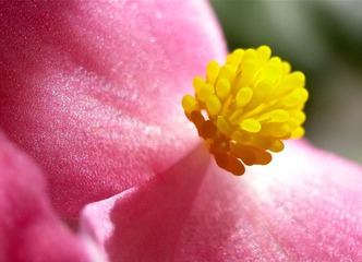 R0026717