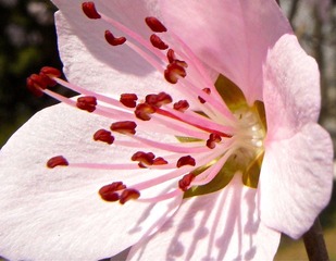 R0026859