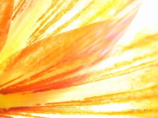R0026907