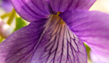 R0027000
