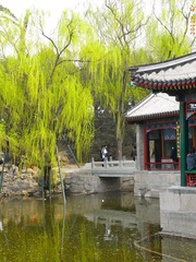 R0027006