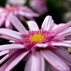 R0027236