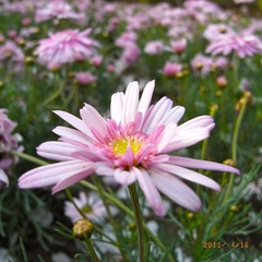 R0027228