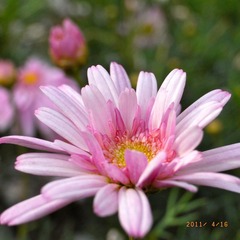 R0027238