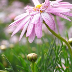 R0027258