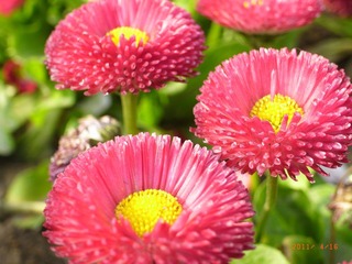 R0027290