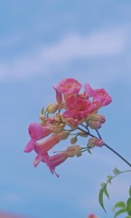 9B0848E4-C67F-4C84-B5DF-68D502B66DB1/L0/001
