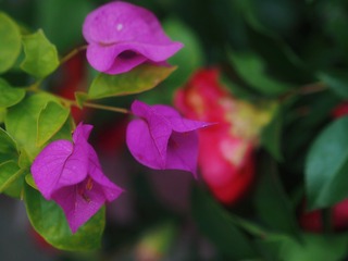902EE1B7-B21C-4634-8A52-530D1DC7ABC9/L0/001