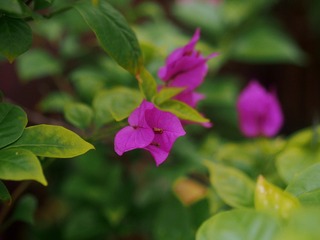 F578C32A-9E2B-4B5C-89EF-81E278F27310/L0/001