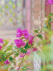 94A1CC9E-1D05-4E2C-B2B7-4A3921CB8362/L0/001