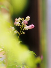 0B7717A7-414A-43FC-A266-0E650ABC8832/L0/001