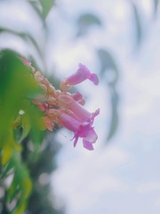 1EB8D7AA-8121-4ED7-8BFA-5B0922343599/L0/001