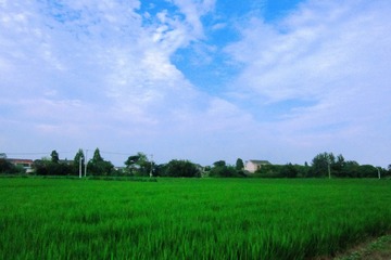 B15A6832-968A-4084-A93C-C51F093A0CF4/L0/001