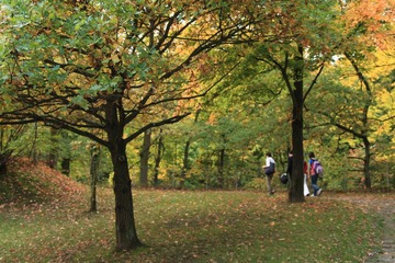 IMG_1658.JPG