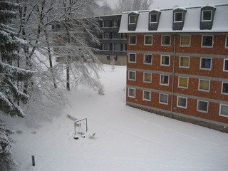 IMG_6421.JPG