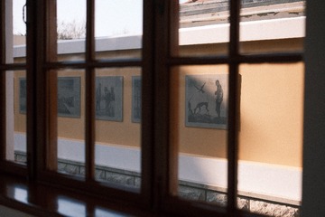 1000135433