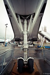 The Museum of Flight-13.jpg