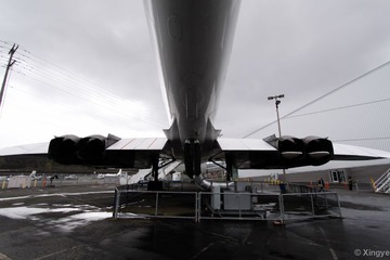 The Museum of Flight-14.jpg