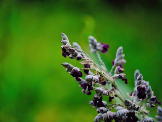 CC6DC2EB-E2F7-4B03-97B5-CD52BC2AD9A1/L0/001