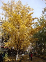 2010秋 (16)