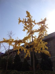 2010秋 (18)