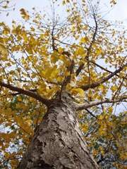 2010秋 (20)