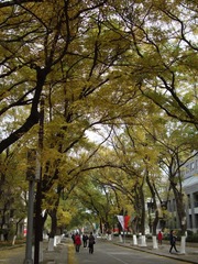 2010秋 (24)