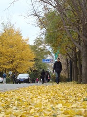 2010秋 (27)