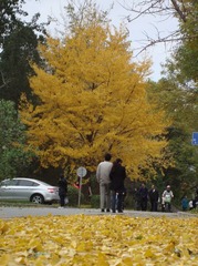 2010秋 (28)