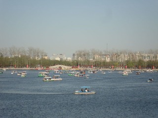 2011-4-10 玉渊潭 (3)