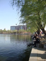 2011-4-10 玉渊潭 (6)