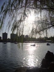2011-4-10 玉渊潭 (7)