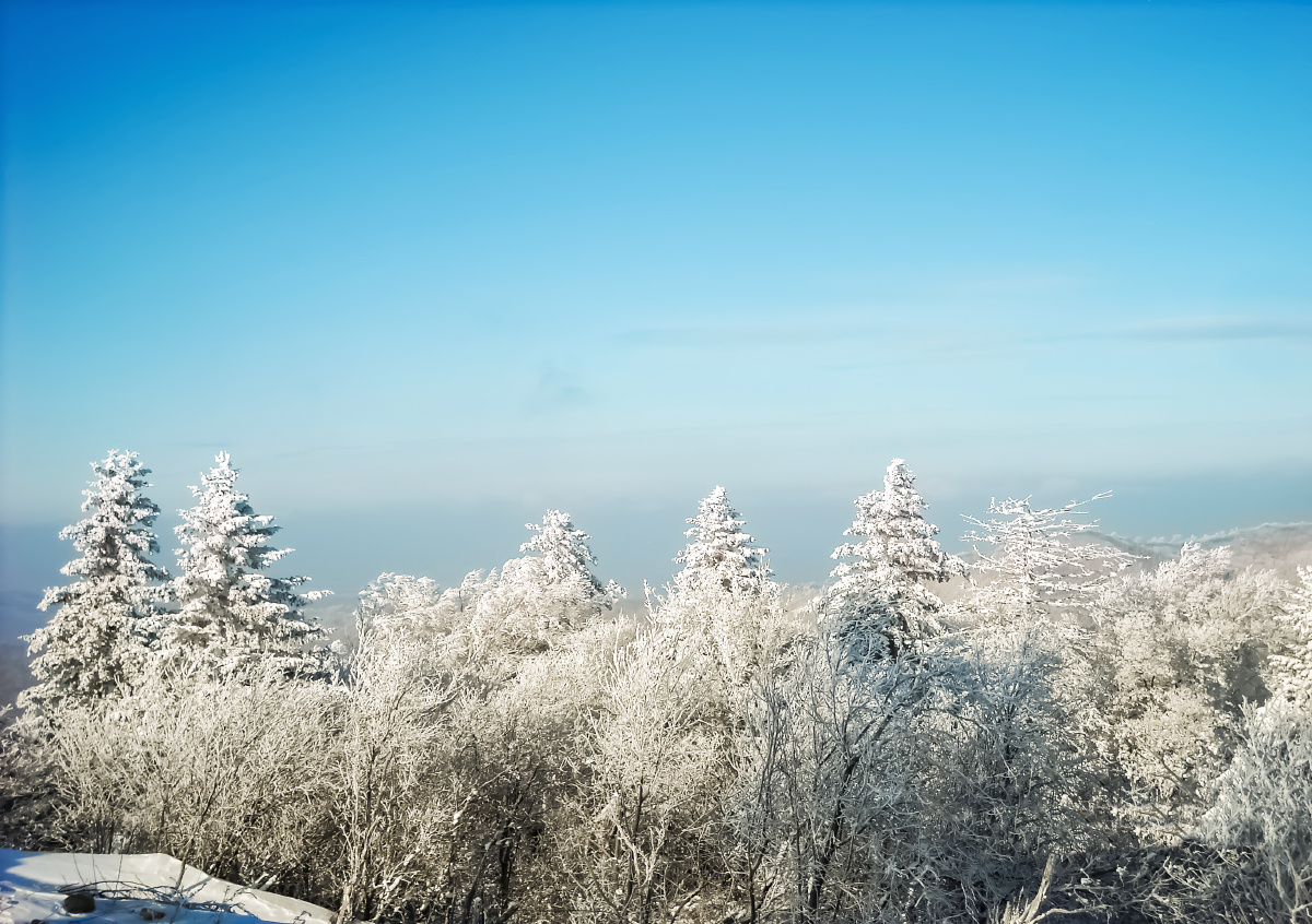 黑龙江 亚布力滑雪场 在这里呆了三个月,这些相片是翻出来的,做了一下