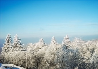 三锅盔2景照片2010.01